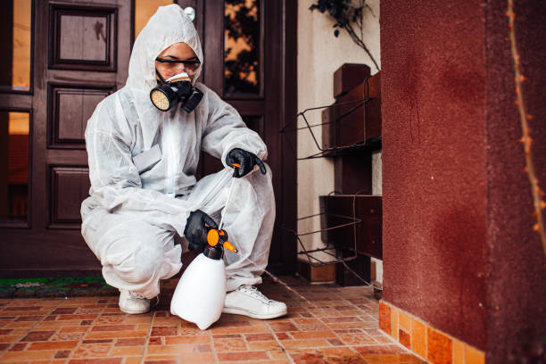 Reliable Bed Bug Control contractor in Roanoke, IL by Nex Pest Control