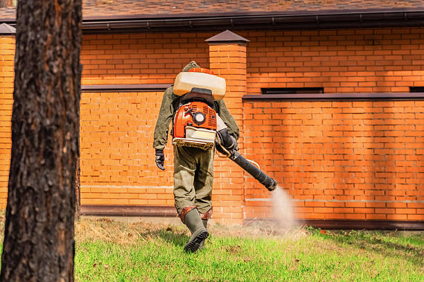 Top rated local Bed Bug Control specialists in Roanoke, IL